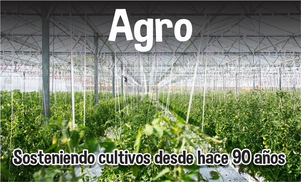 imagen de seccion agro